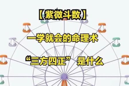 最准紫薇斗数app