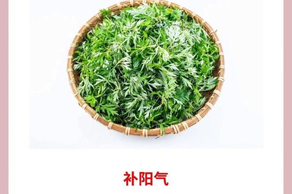 为什么艾草不能送人有什么风水说法