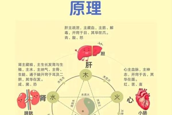 生辰八字五行知健康，这要知晓