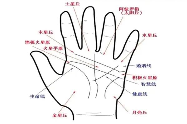 免费算命,神仙下凡 手上带灵气的人的特性