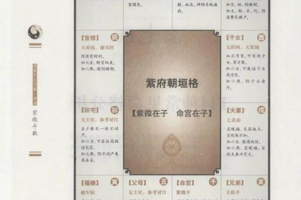 紫薇斗数看对宫