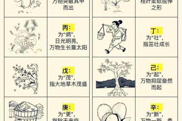 八字中的通根何解 八字通根含义是什么