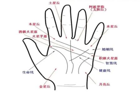 免费算命,神仙下凡 手上带灵气的人的特性