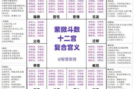 免费紫薇命运斗数