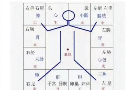 紫薇斗数未宫在哪个方位