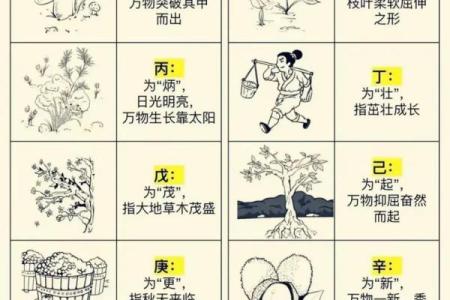 八字中的通根何解 八字通根含义是什么