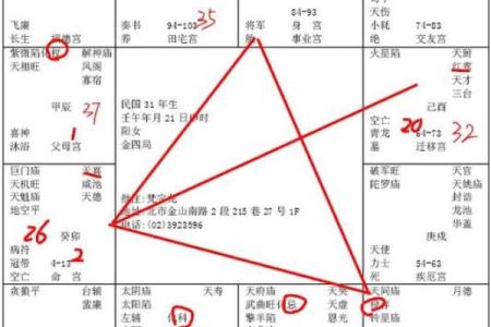 名人紫薇斗数案例