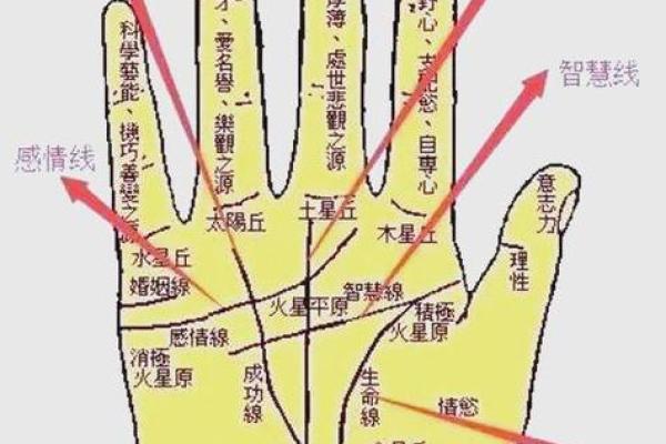 手纹线图解大全男人手相 男人算命看左手还是右手