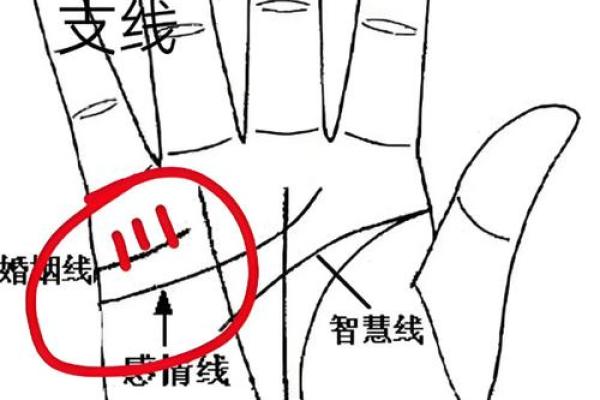 男士手相算命图解法 男人感情线的末端分叉异性缘好