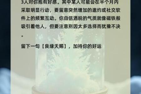 塔罗测试你暗恋的人也喜欢你吗