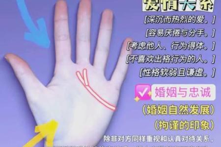 男士手相算命图解法 男人感情线的末端分叉异性缘好