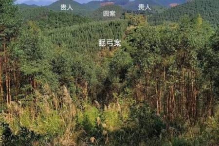 墓地风水，什么祖坟风水要调理