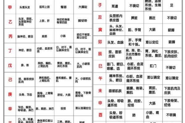八字干支身体部位对照表