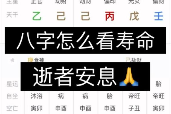 八字算命安康