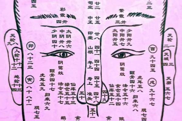 自己算命方法图解