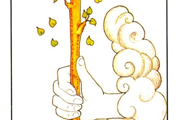 塔罗测试：你的事业高峰期是什么时候？