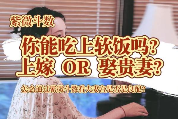 能嫁有钱老公的紫薇斗数女