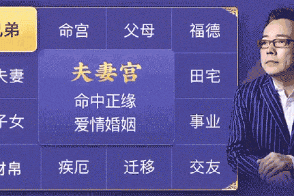 紫薇斗数小说免费