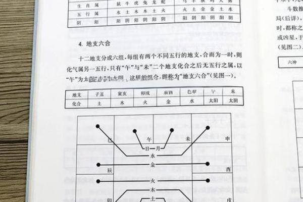 包含紫薇斗数推断实例的词条