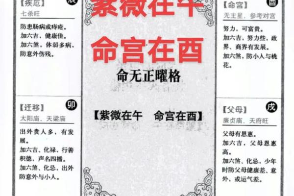包含紫薇斗数推断实例的词条