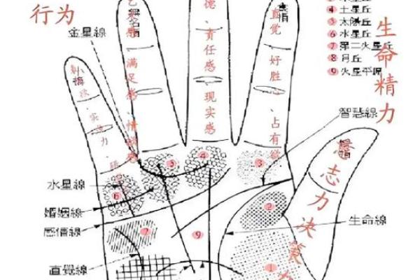 手相算命总论 手相算命大揭秘