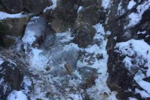 开车摔跤了还能去算命吗