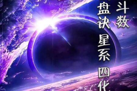 紫薇斗数突破天罗地网