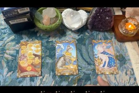 塔罗牌测试八月你的财运如何？