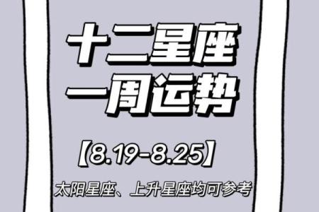 塔罗测试：十二月学习运？