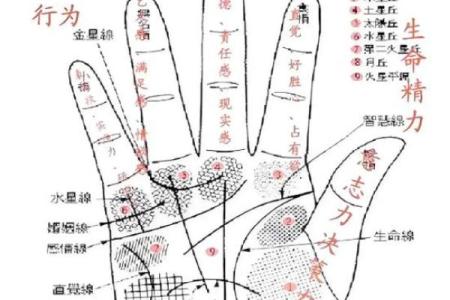 手相算命总论 手相算命大揭秘