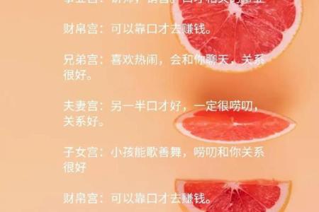 口才更好的紫薇斗数