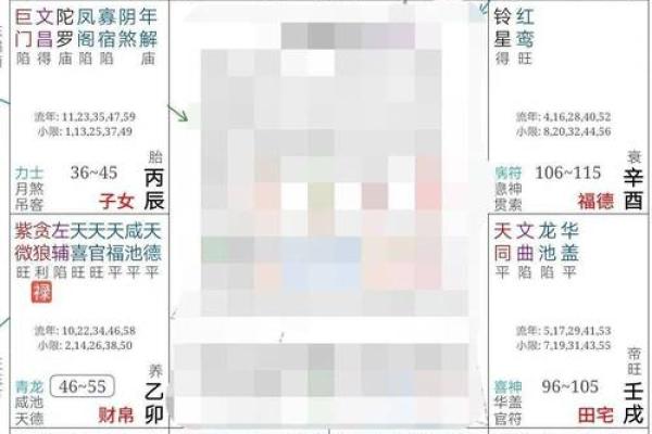紫薇斗数定盘软件
