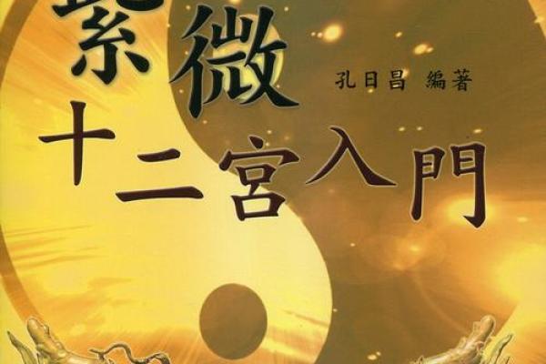 一梦江湖中紫微斗数怎么玩 一梦江湖武当紫薇九耀？