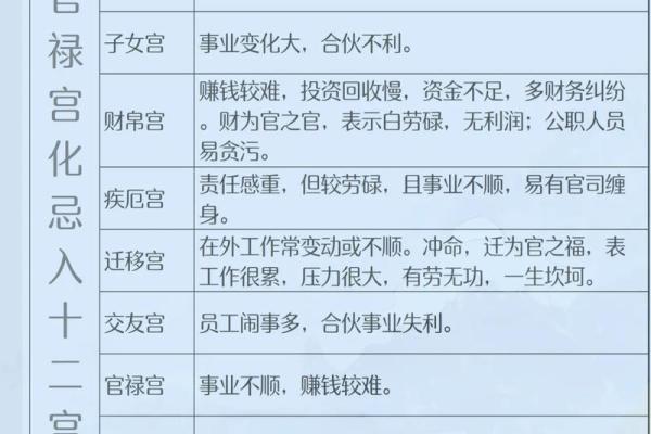 紫薇斗数化禄在夫妻宫