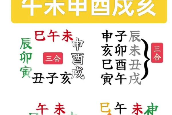 三会的八字