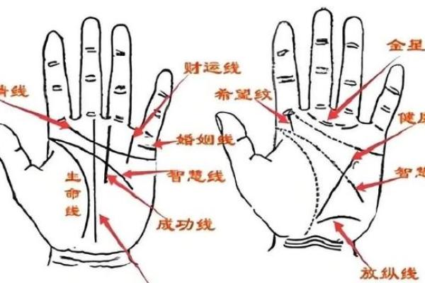 免费拍照看手相算命在线