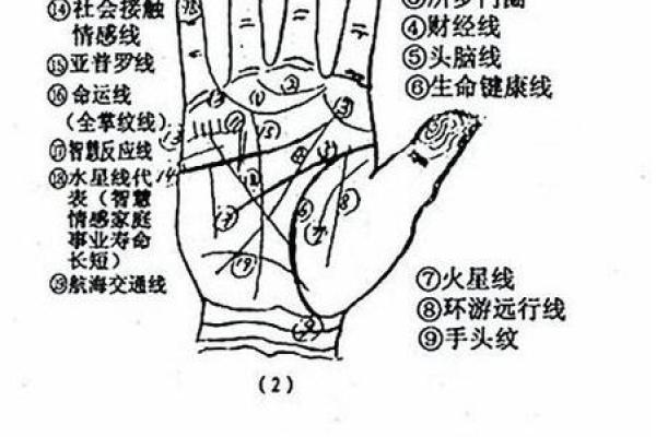 看手相算命：第六课 实际看