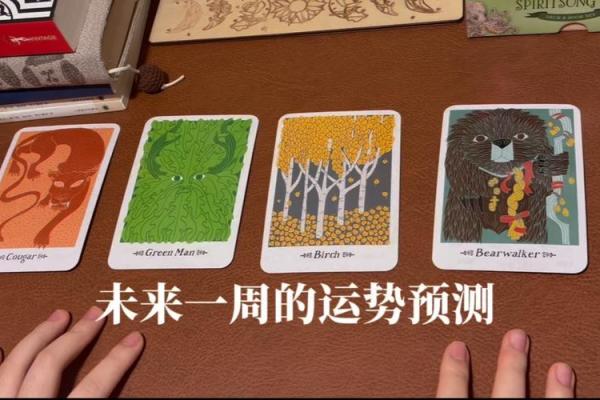 塔罗测试：未来两个月你的学习运势如何