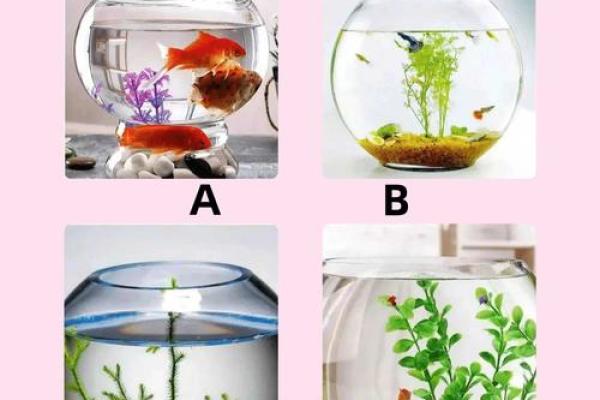 神准测试-你如何获得成功？