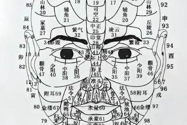 男测脸面相算命图解大全