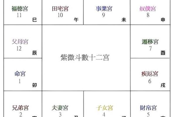 紫微斗数之阴阳五行