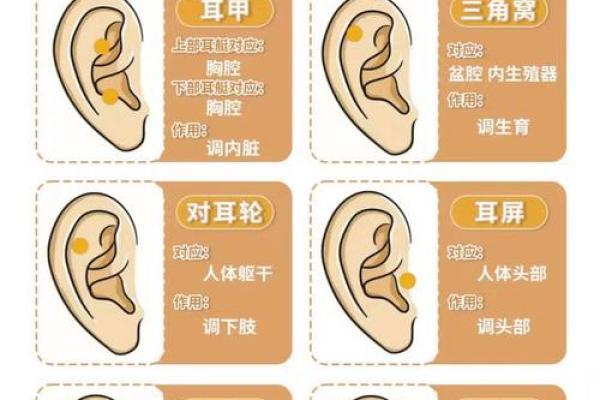 耳朵上的胎记算命分析