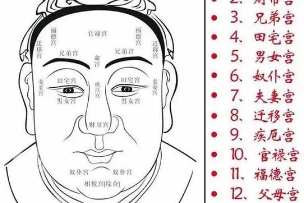 田字命算命的说