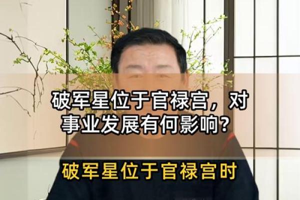 紫微斗数诸星落诸宫之：破军星官禄宫详解