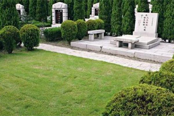 墓地种什么树好风水上有哪些讲究- 墓地种什么树好风水上有哪些讲究-