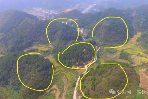 最发人丁的坟地风水 最发人丁的坟地风水