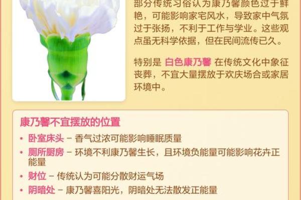 室内房间里养花须知的风水禁忌 室内房间里养花须知的风水禁忌