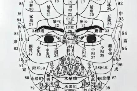 男测脸面相算命图解大全