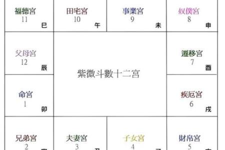 紫微斗数之阴阳五行