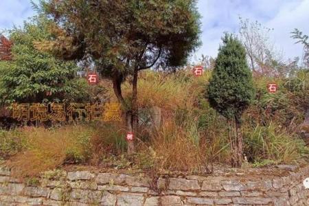 探秘路岩石45度八字，揭秘其独特特点和魅力所在